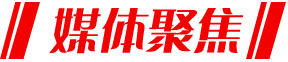 香港全年最全免费资料大全