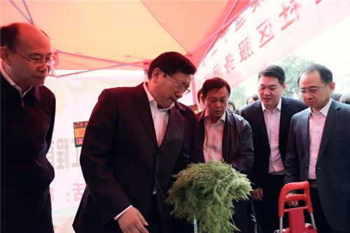 香港全年最全免费资料大全