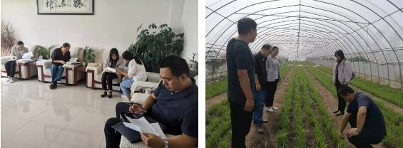 香港全年最全免费资料大全