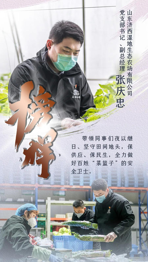香港全年最全免费资料大全