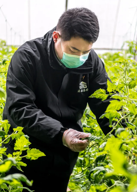 香港全年最全免费资料大全