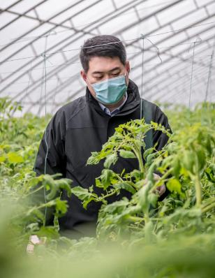 香港全年最全免费资料大全
