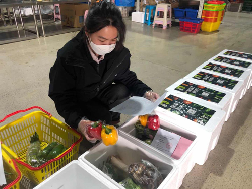 香港全年最全免费资料大全