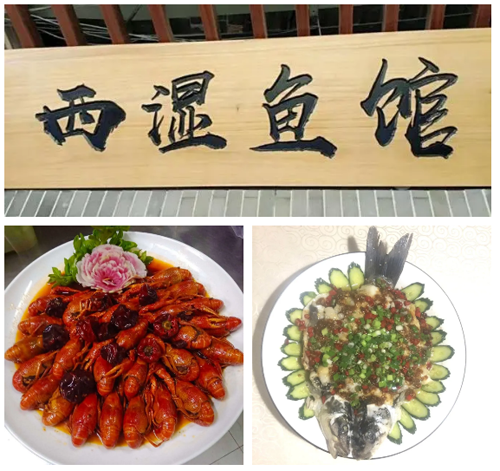 香港全年最全免费资料大全
