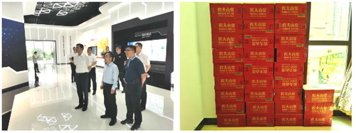 香港全年最全免费资料大全