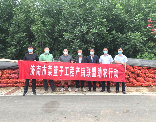 香港全年最全免费资料大全
