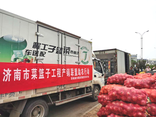 香港全年最全免费资料大全