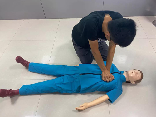 香港全年最全免费资料大全