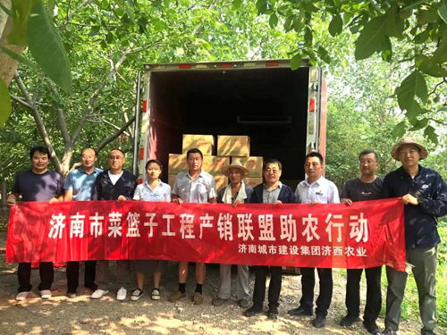 香港全年最全免费资料大全