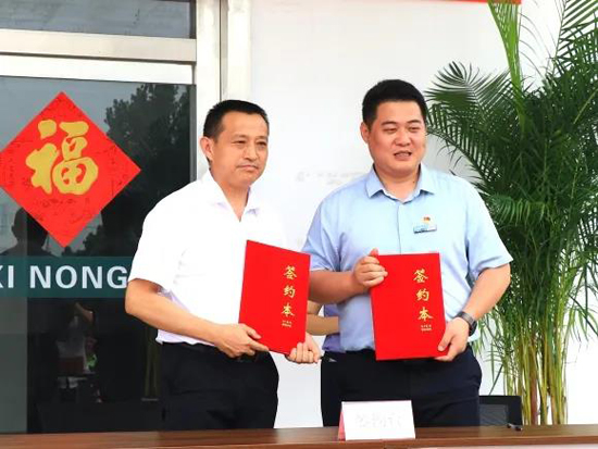 香港全年最全免费资料大全