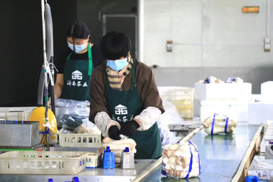 香港全年最全免费资料大全