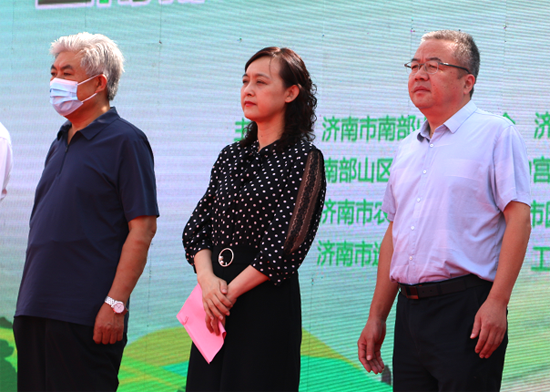 香港全年最全免费资料大全