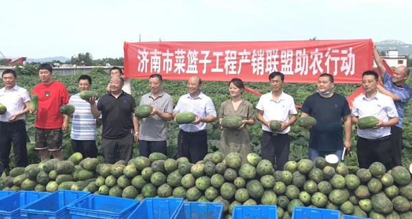 香港全年最全免费资料大全