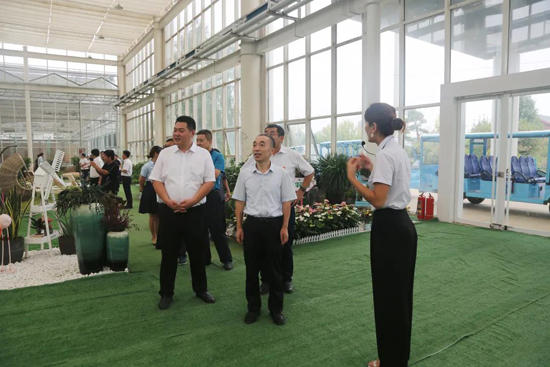 香港全年最全免费资料大全