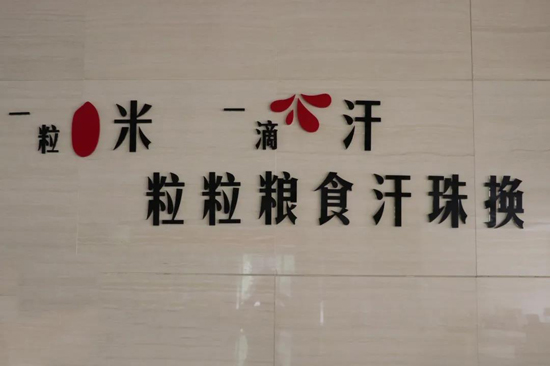 香港全年最全免费资料大全