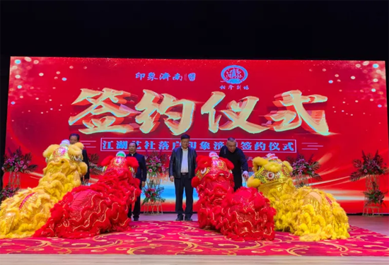 香港全年最全免费资料大全