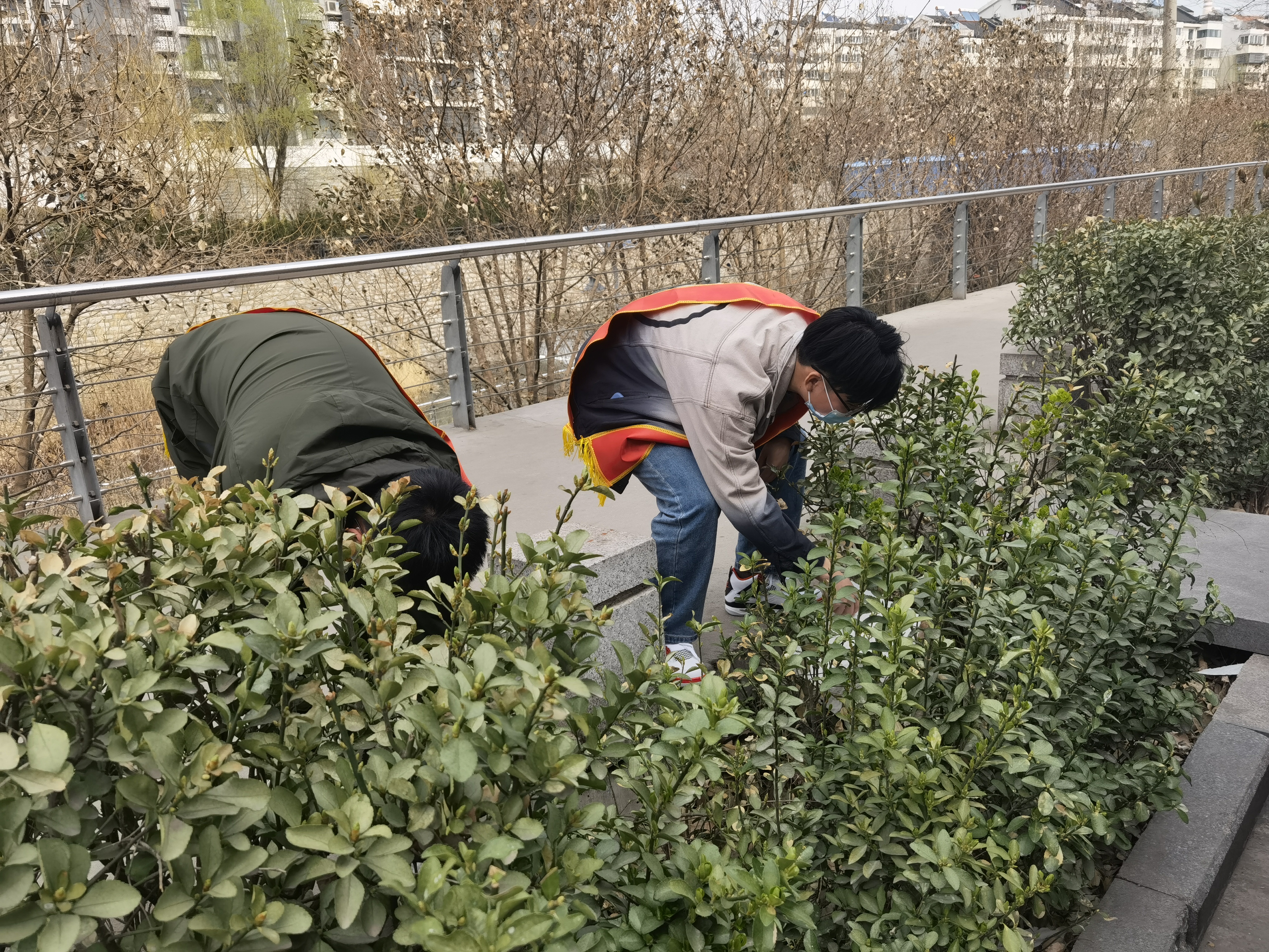 香港全年最全免费资料大全