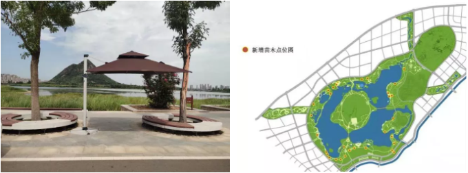 香港全年最全免费资料大全