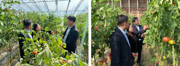 香港全年最全免费资料大全