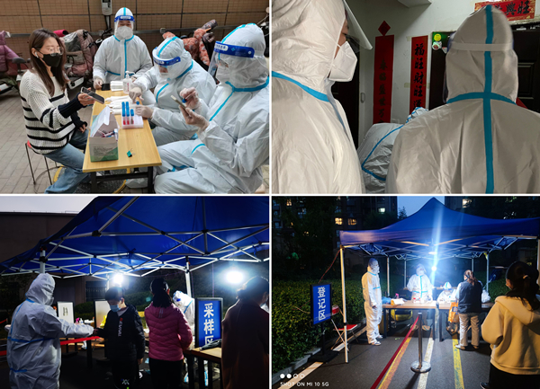 香港全年最全免费资料大全