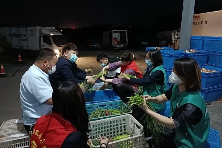 香港全年最全免费资料大全