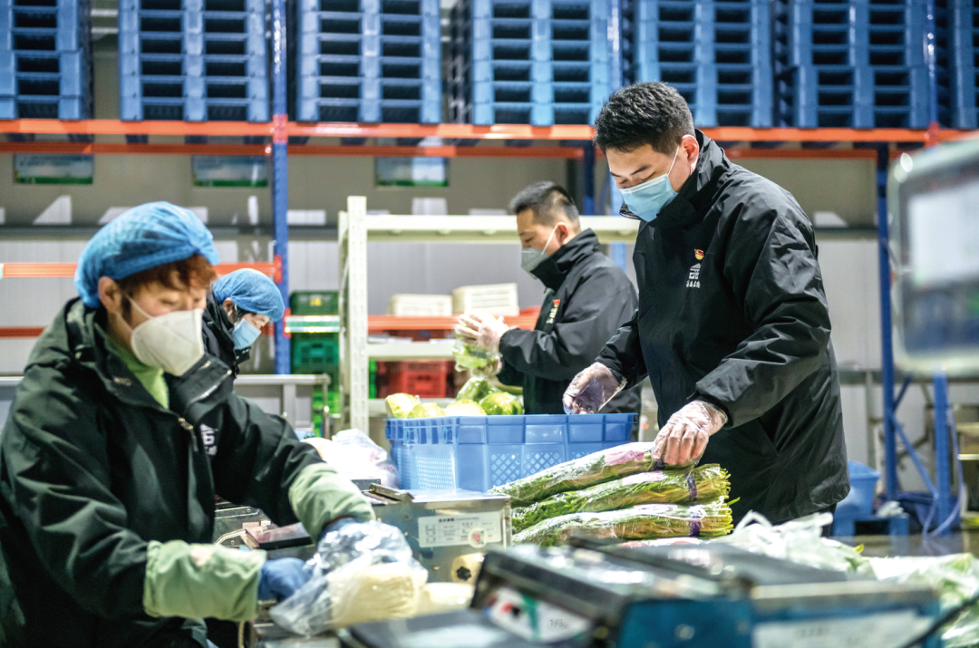 香港全年最全免费资料大全