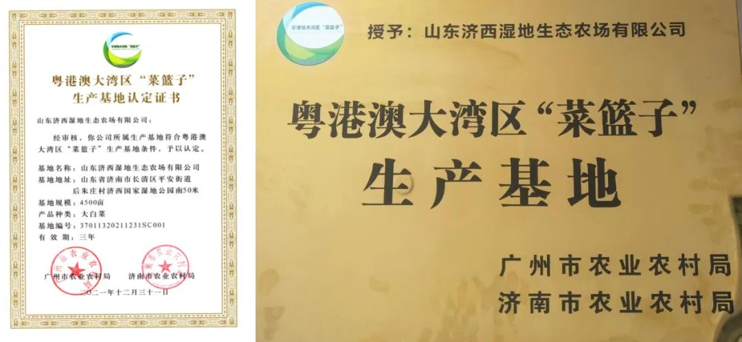 香港全年最全免费资料大全