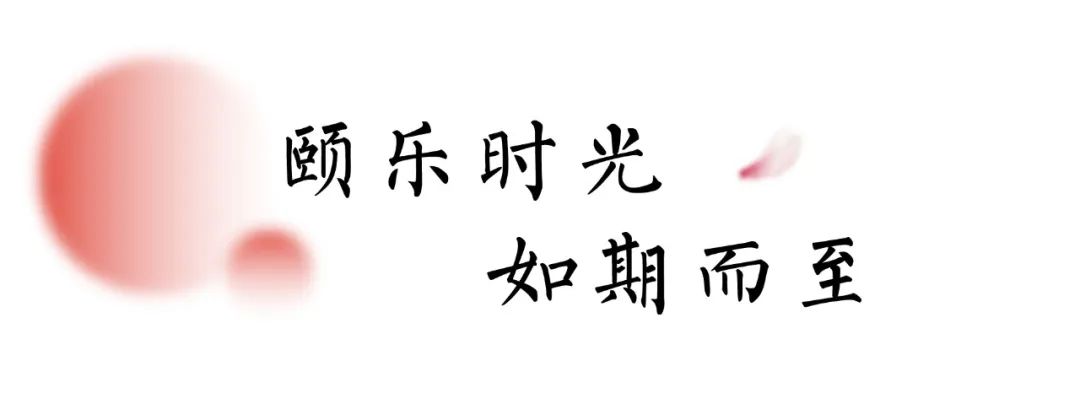 香港全年最全免费资料大全