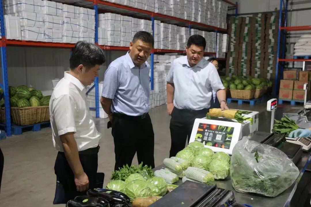 香港全年最全免费资料大全