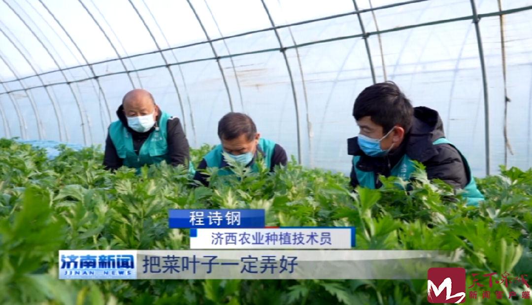 香港全年最全免费资料大全