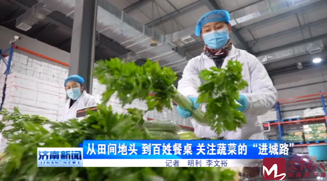 香港全年最全免费资料大全