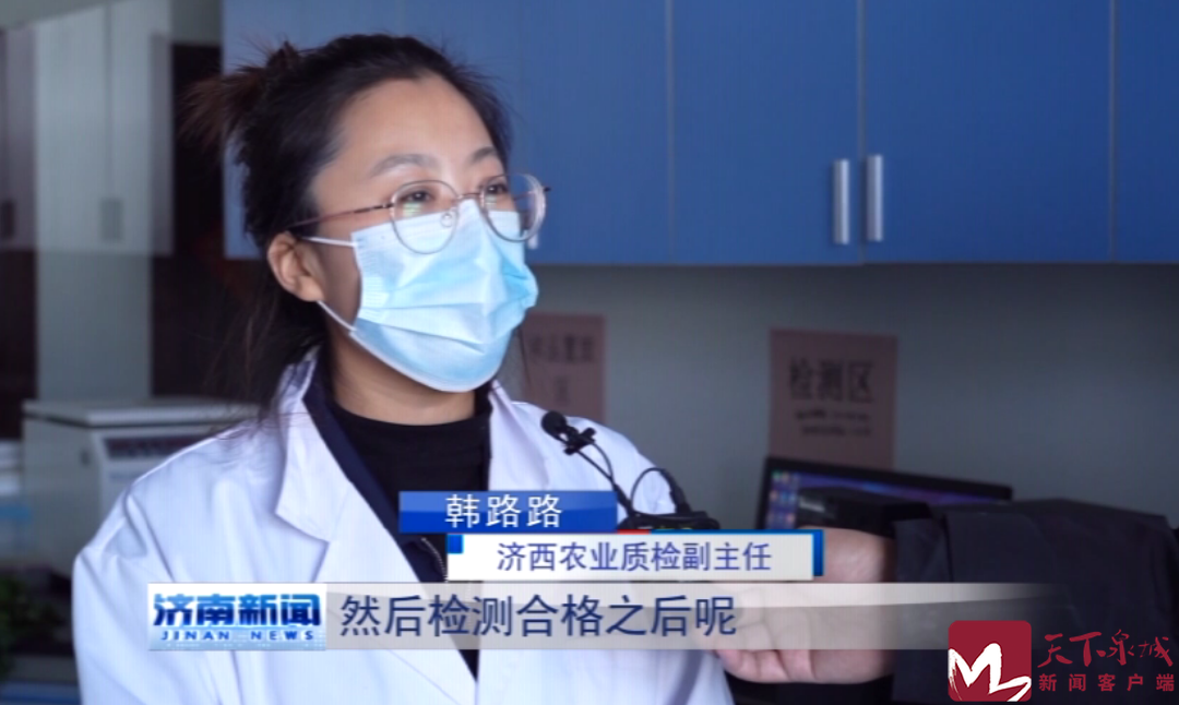 香港全年最全免费资料大全
