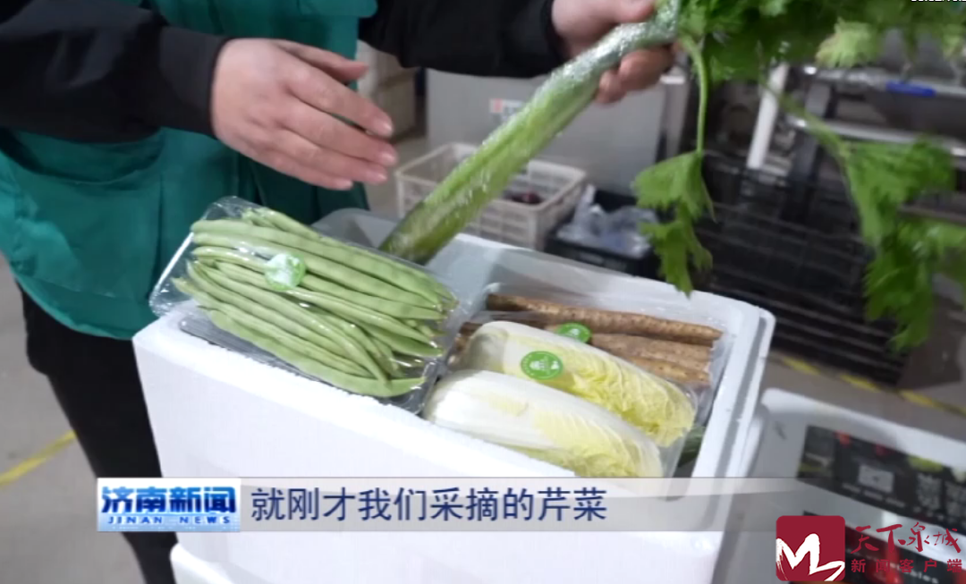 香港全年最全免费资料大全
