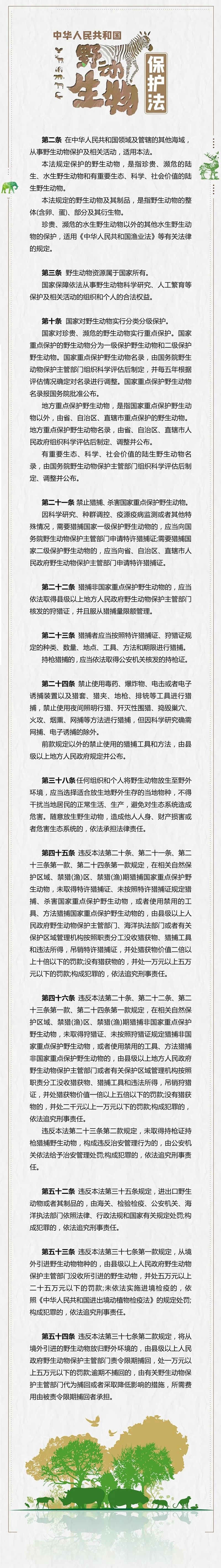 香港全年最全免费资料大全