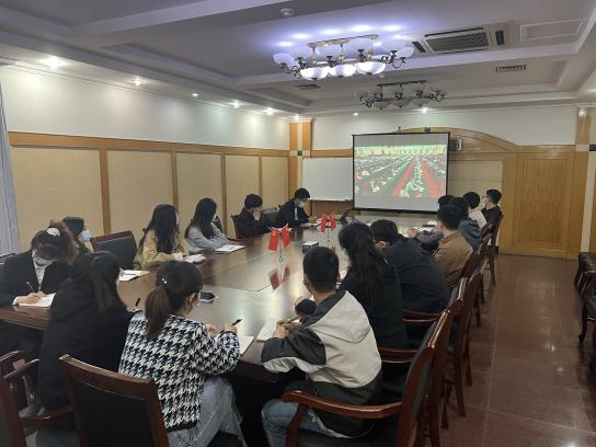 香港全年最全免费资料大全