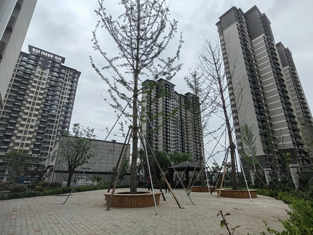 香港全年最全免费资料大全