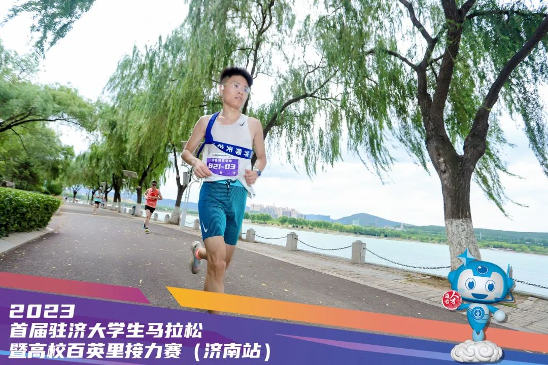 香港全年最全免费资料大全