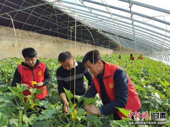 香港全年最全免费资料大全