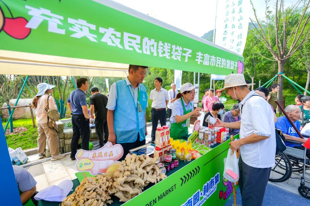 香港全年最全免费资料大全