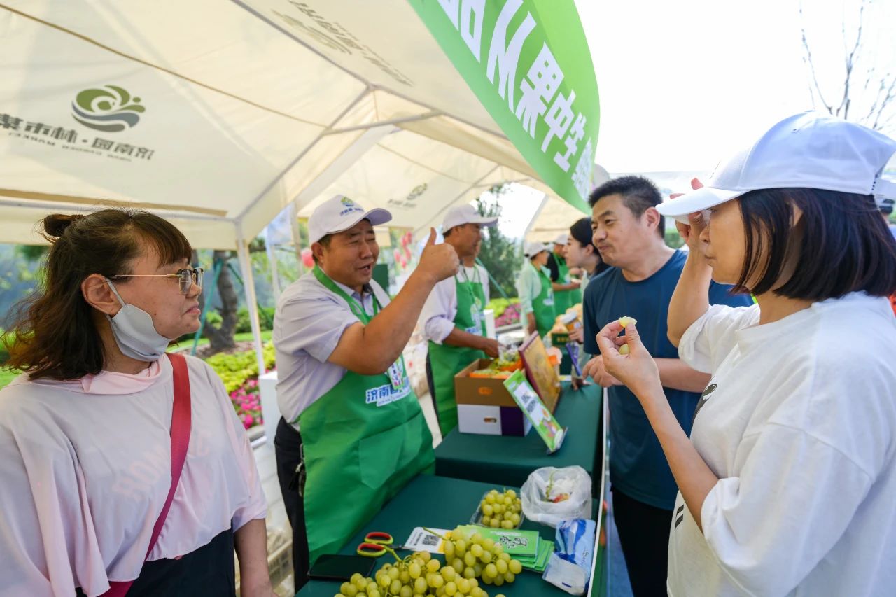 香港全年最全免费资料大全