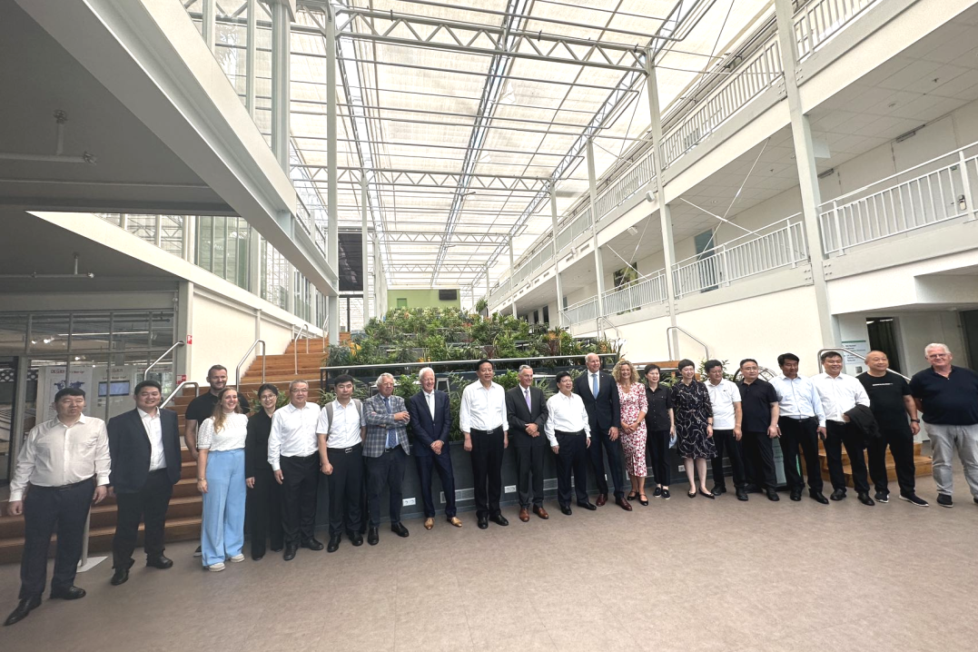 香港全年最全免费资料大全