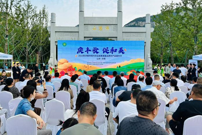 香港全年最全免费资料大全
