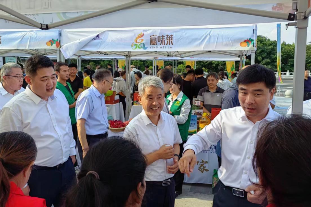 香港全年最全免费资料大全