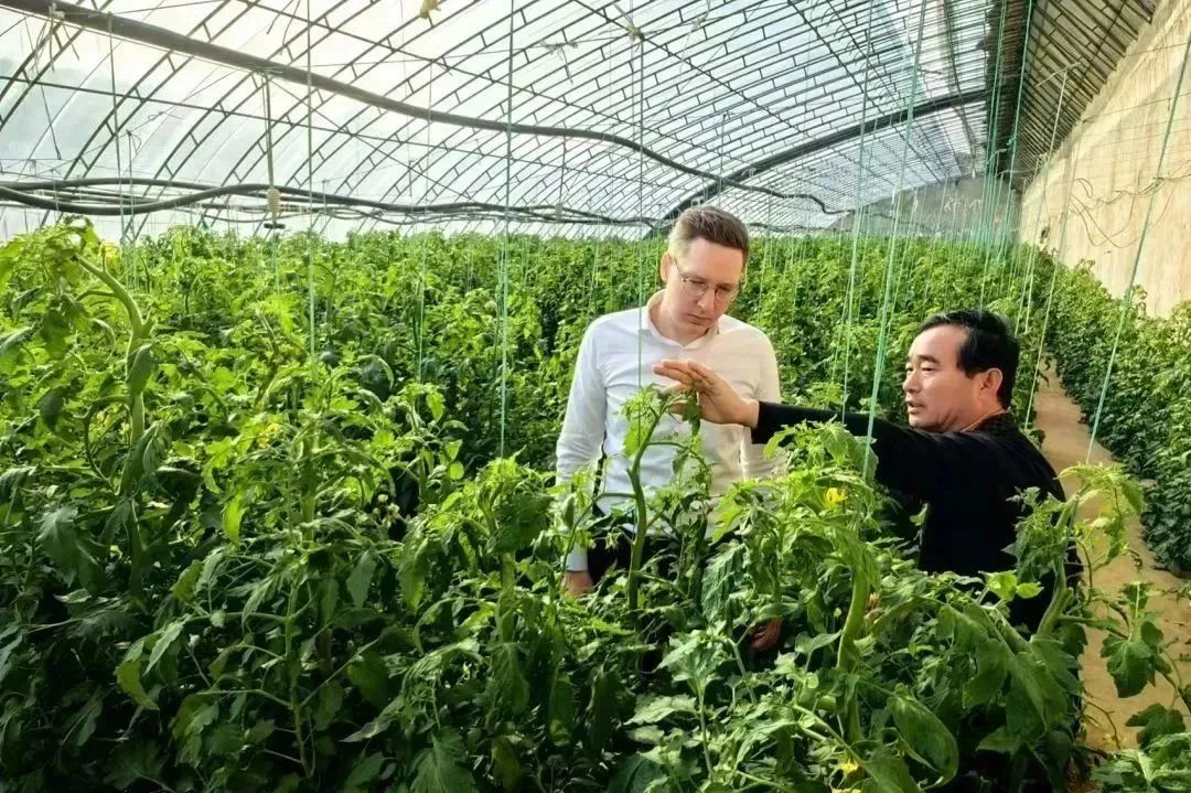 香港全年最全免费资料大全