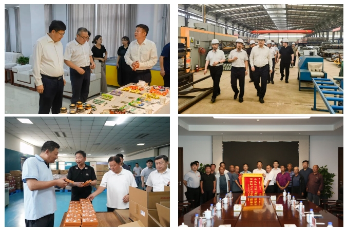 香港全年最全免费资料大全
