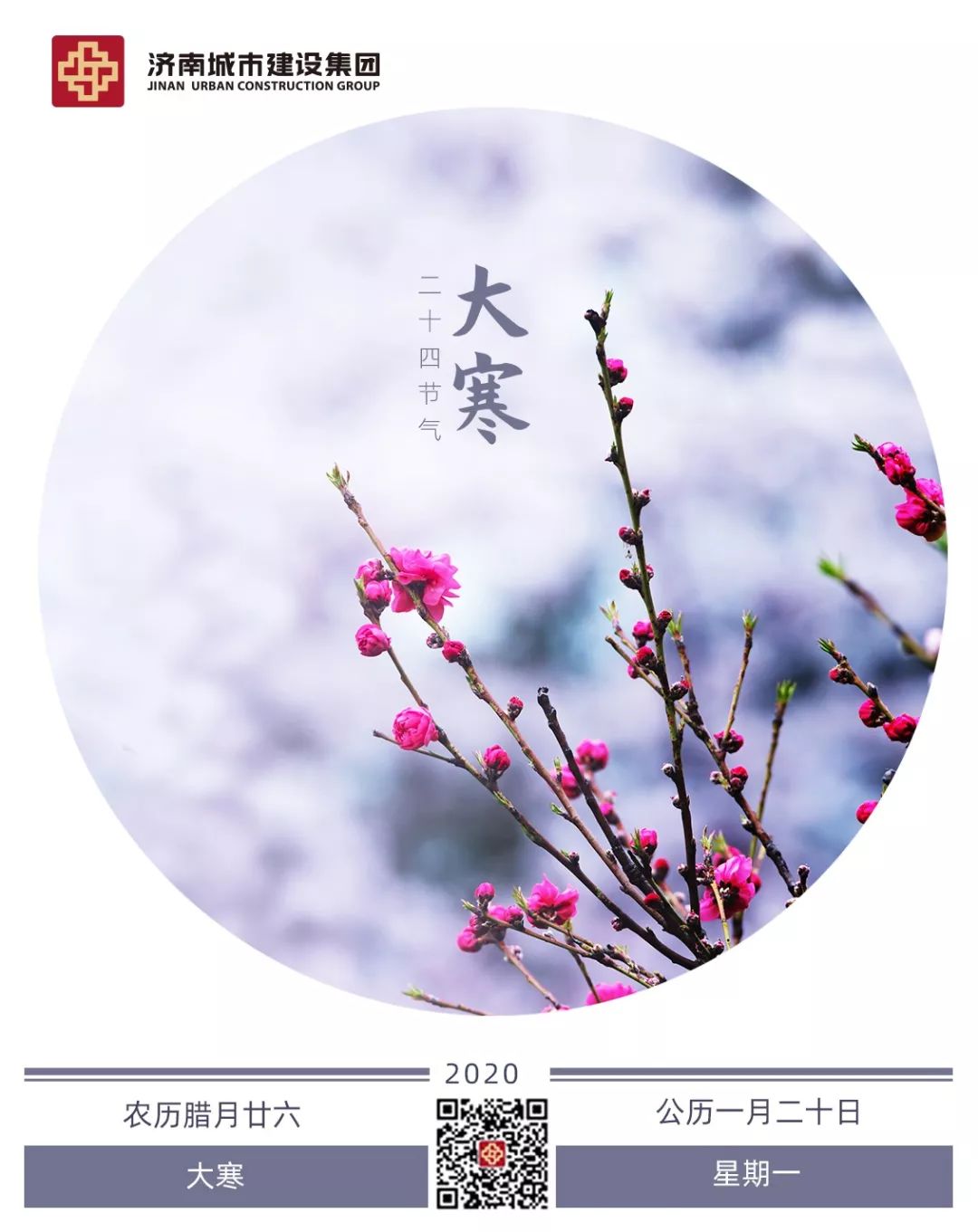 香港全年最全免费资料大全