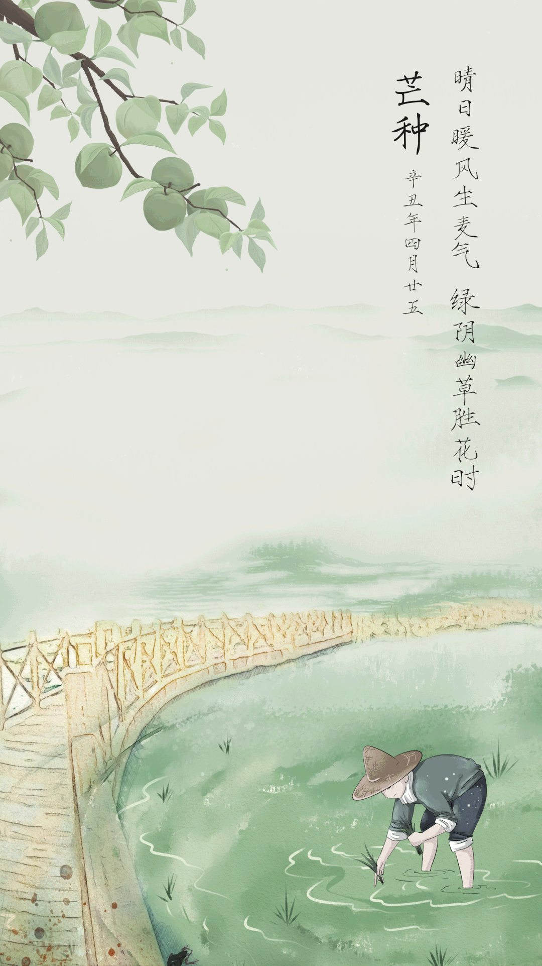 香港全年最全免费资料大全