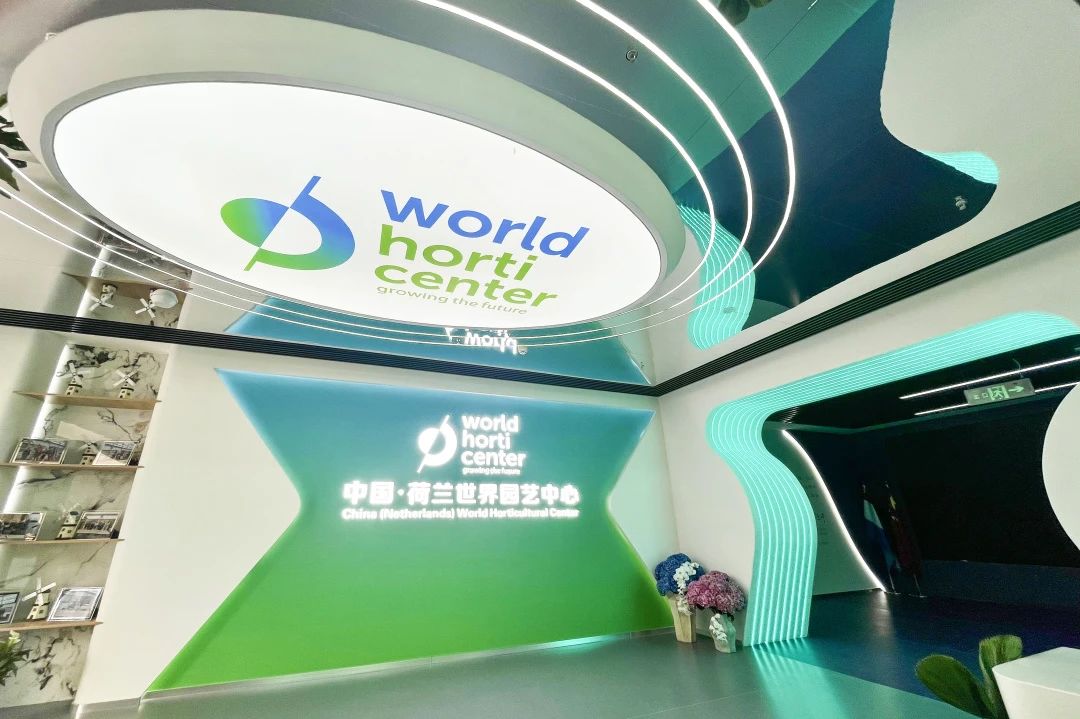 香港全年最全免费资料大全