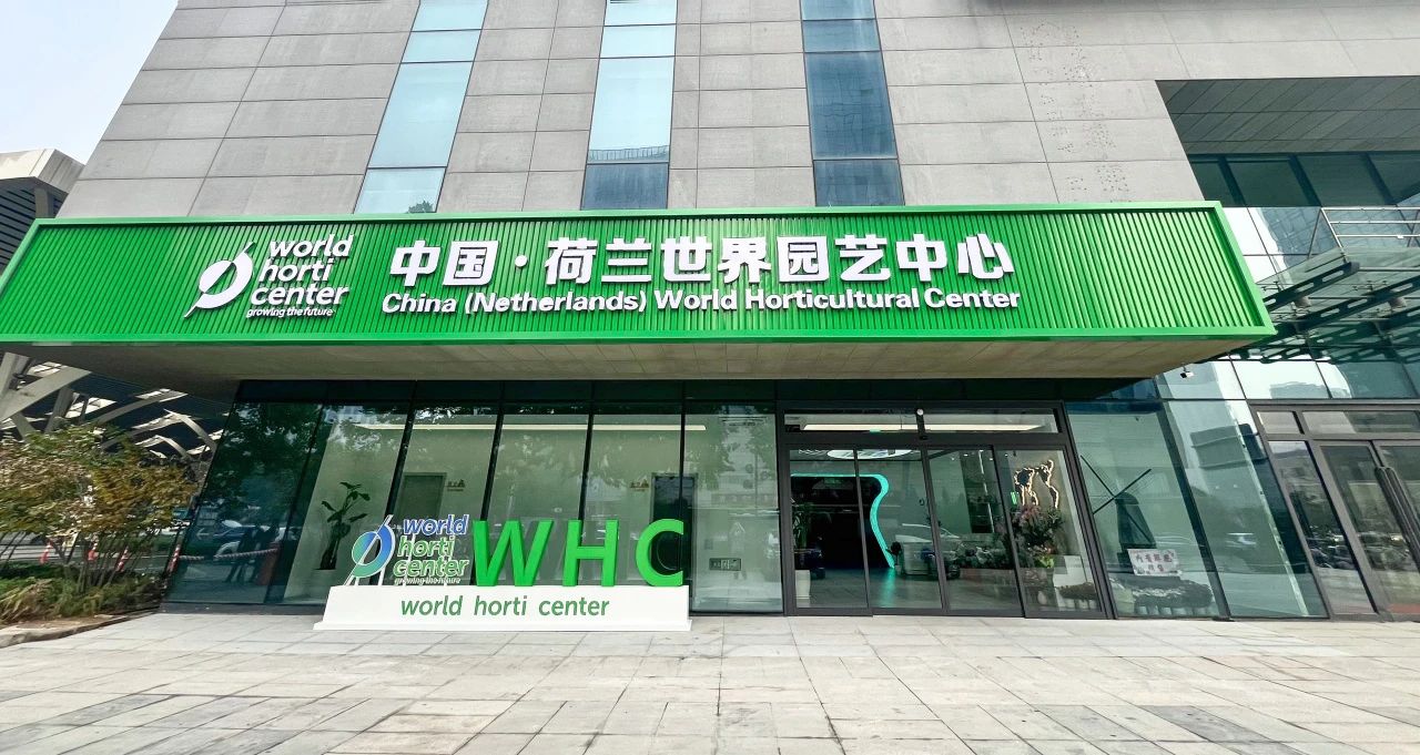 香港全年最全免费资料大全