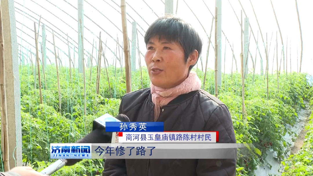 香港全年最全免费资料大全